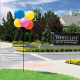 Balloon Bobber 6 Balloon Cluster Kit Balloon Bobber 6 Balloon Cluster Kit