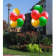 DuraBalloon Cluster Kit DuraBalloon Cluster Kit