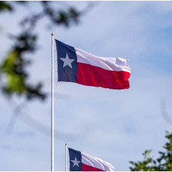 Texas State Flag