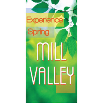 Experience Spring Town Banner Experience Spring Town Banner